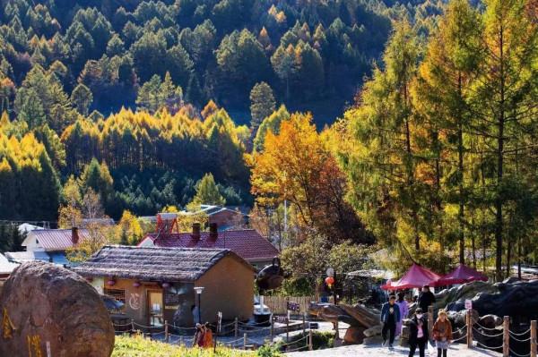 牡丹江：五花山色惹人醉