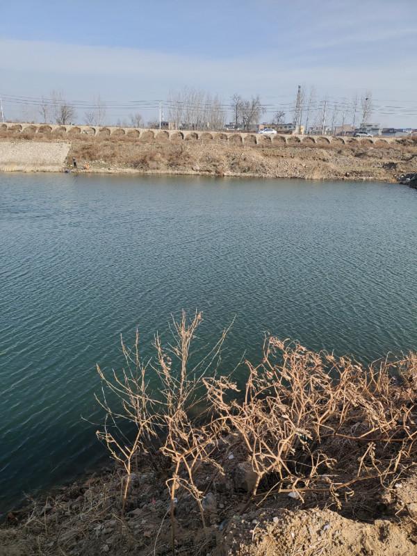 冬季釣魚堅持用小鉤細線軟竿，還要配合抄網