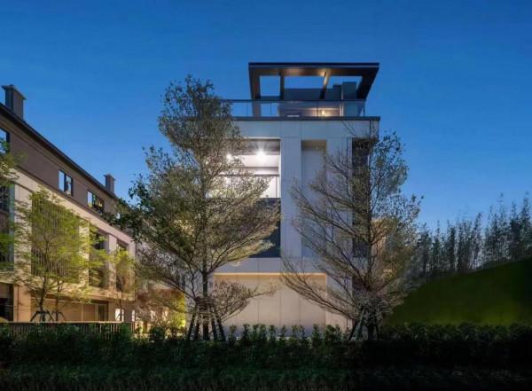 2020年十大頂級豪宅產品系列