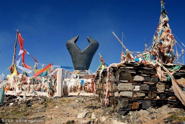 聊聊人類的好朋友——牛