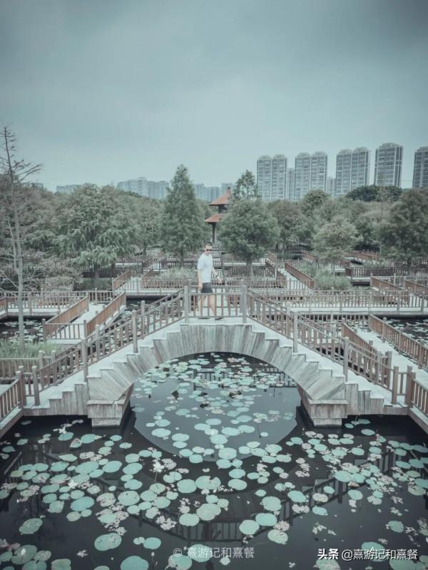 去了八次廈門之後，告訴你這30件事最值得