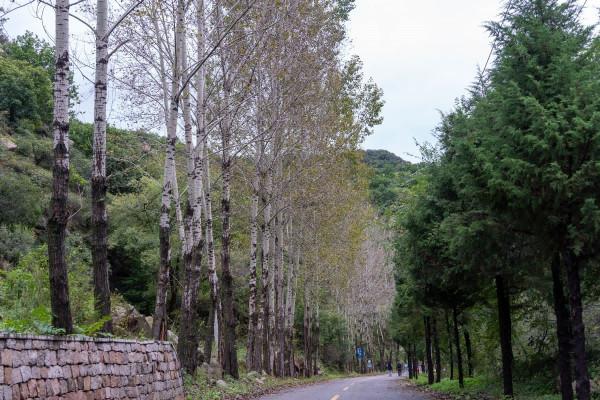 雨中喇叭溝門原始森林公園一日遊