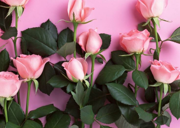 半個月後，4個星座，煩惱變少，快樂變多，開啟幸福生活