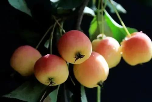 水瓶座2022年1月運勢 水瓶座2022年1月運勢