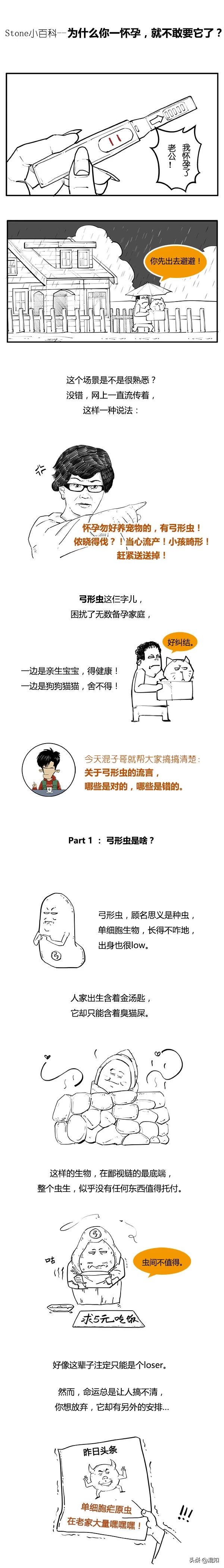 吃火鍋也能感染？還是導致家庭破裂的存在，弓形蟲到底是啥？