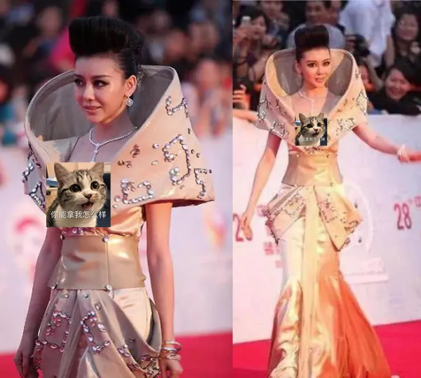 這些年,出現在金雞百花紅毯上的“妖魔鬼怪”,雷到我起不出標題 這些年,出現在金雞百花紅毯上的“妖魔鬼怪”,雷到我起不出標題