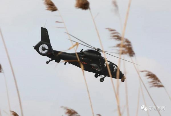 頭雁領航，雁陣齊飛！