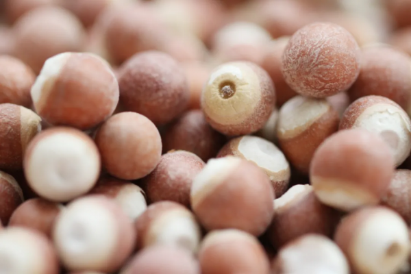 享瘦?讓吃進來的食物變成氣血,而不是痰溼 享瘦?讓吃進來的食物變成氣血,而不是痰溼