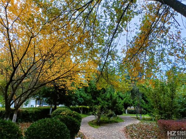 大自然“魔法師”讓京運街遊園富有神韻 李朝林/圖文