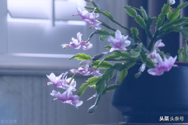 天空是永遠寧靜的湖水