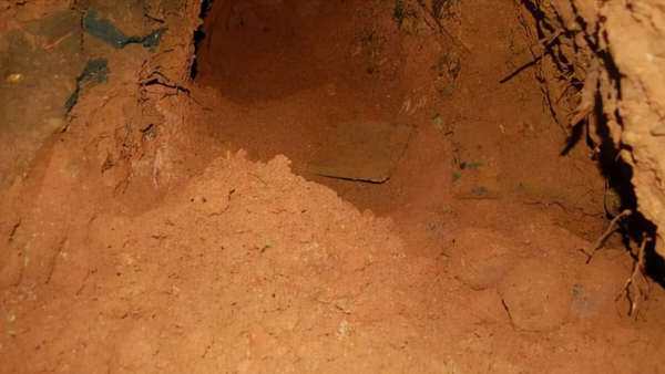 1972年內蒙出土康熙女兒墓,墓中發現稀有文物,專家鑑定價值過億 1972年內蒙出土康熙女兒墓,墓中發現稀有文物,專家鑑定價值過億