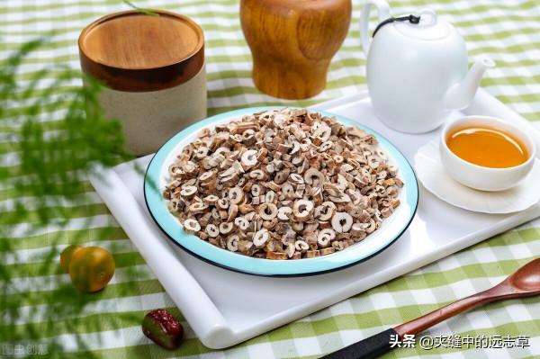 皮下出血，紫癜？送你四味中藥，清熱解毒，涼血散瘀，血寧瘀自消