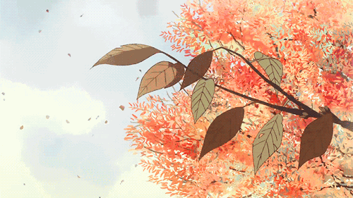 今日秋分,知道秋天用日語怎麼說嗎? 今日秋分,知道秋天用日語怎麼說嗎?