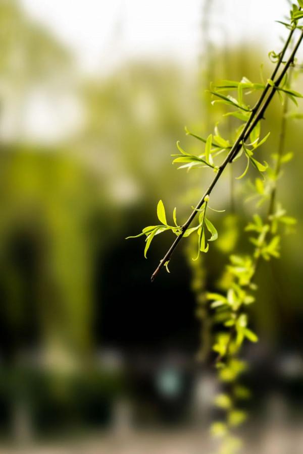 從一月到十二月，一個月份一首詩，太美了