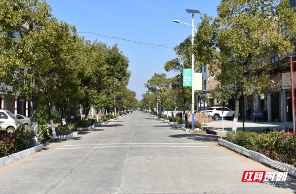 安平鎮藥湖村：打造美麗鄉村，“點亮”幸福生活