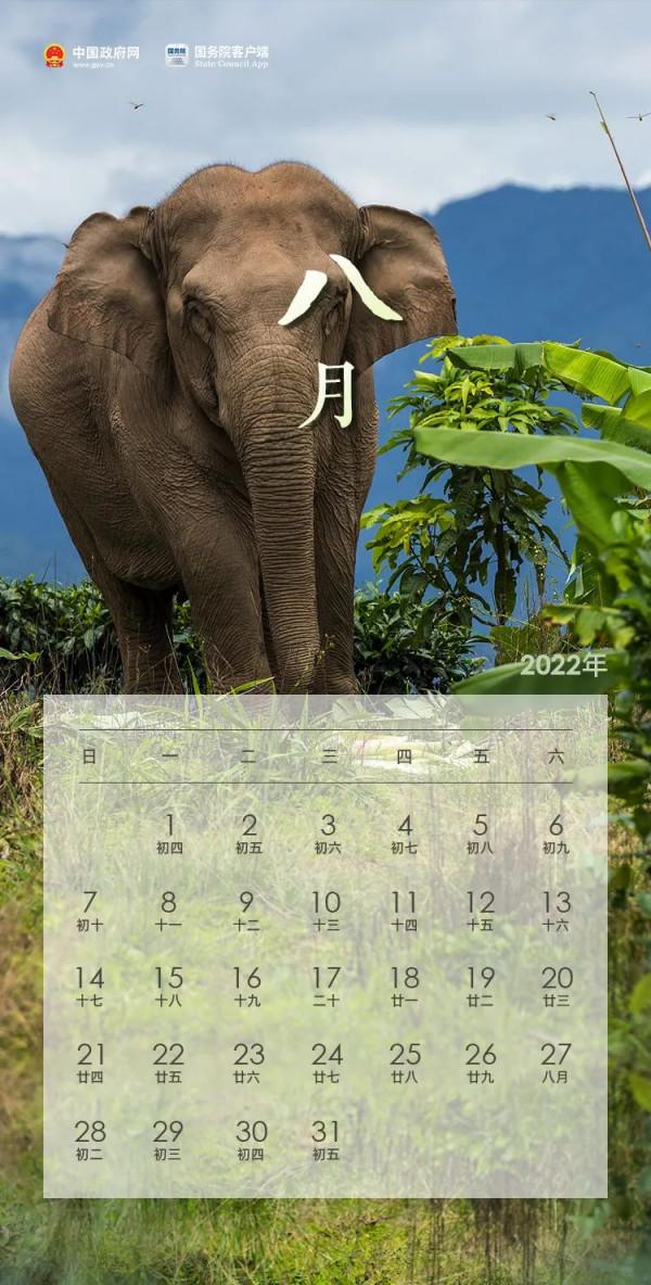 「收藏」它們想要承包你2022一整年的手機桌布