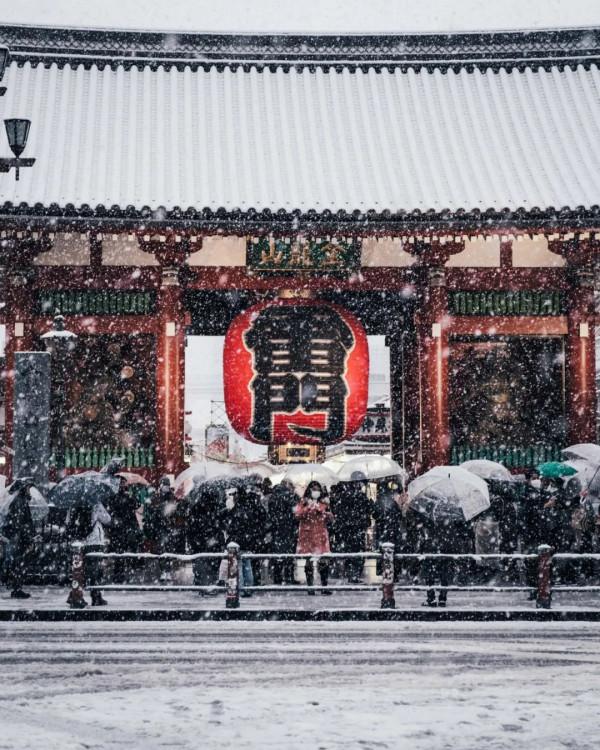 2022東京初雪,這個近45年來最冷的冬天,美翻了 2022東京初雪,這個近45年來最冷的冬天,美翻了