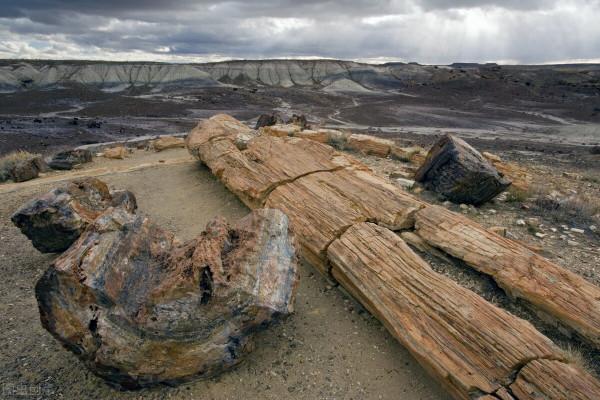 浙江遊記 | 藏在紹興佛寺裡的北緯30度“神秘遺蹟”