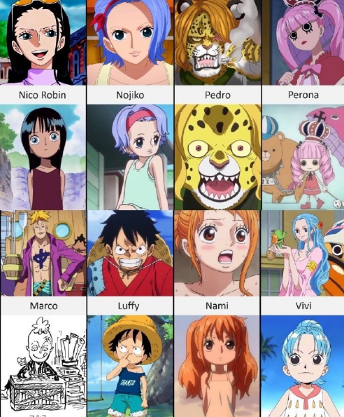 海賊王人物的童年時期形象，馬爾科是好學生，青雉是流浪漢