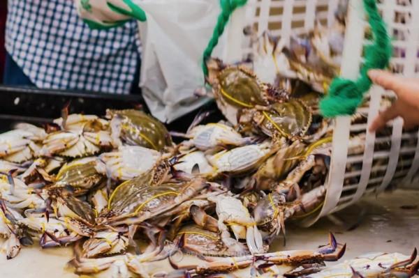 全國秋天神仙菜市場大賞 全國秋天神仙菜市場大賞