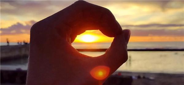 11月全球新能源:ID.3被嚴重超車 11月全球新能源:ID.3被嚴重超車