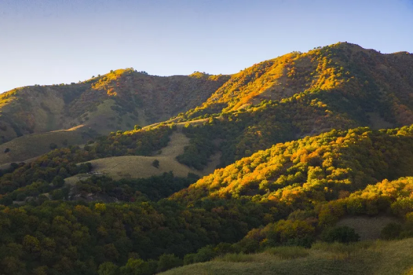 秋天的杏花谷：每一幀都是風光大片