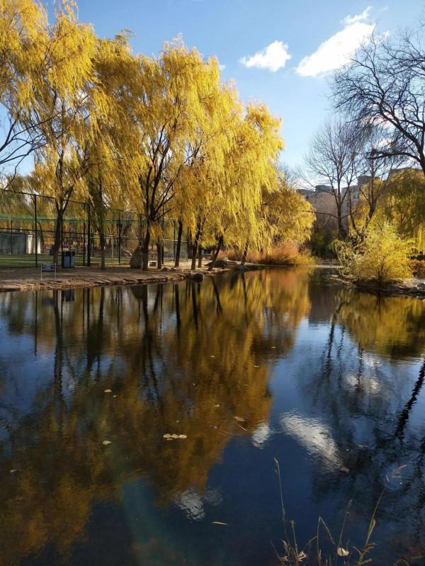 古詩詞裡的秋,似畫美,似情濃,似意長 古詩詞裡的秋,似畫美,似情濃,似意長