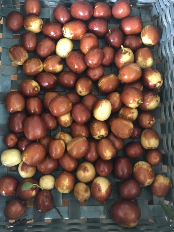 5種食物，秋冬別貪吃，胃疼可夠難受的