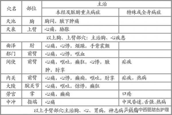 「經絡養生科普」十二經筋/經絡之手厥陰（心包）筋經