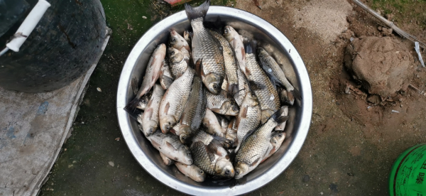 邁萊河邊夜釣,收穫很意外,還遇到了可愛的小動物 邁萊河邊夜釣,收穫很意外,還遇到了可愛的小動物