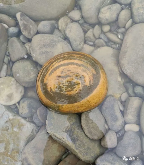 尋石樂趣——一腳踢出來的美石