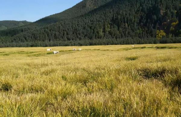 九大門票價格超貴的自然景觀,去過一次的人基本不會再去第二次 九大門票價格超貴的自然景觀,去過一次的人基本不會再去第二次