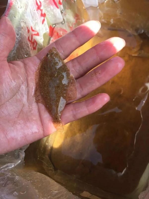 威海旅行真正的攻略