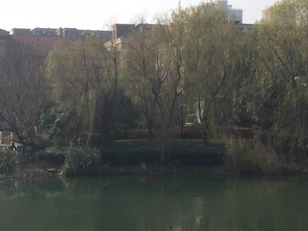 天氣好，出來轉轉，呼吸新年的空氣