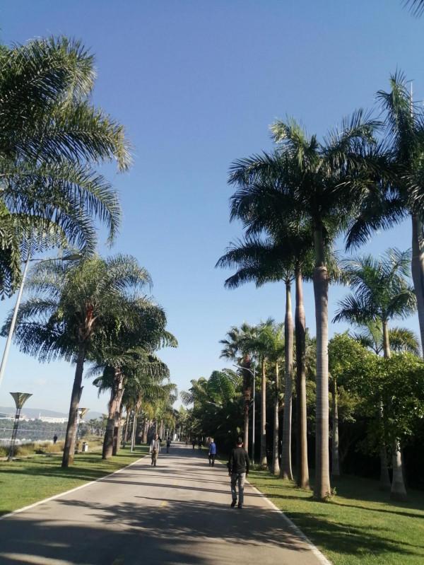 昆明到西雙版納鐵路沿線11站點旅行合集 昆明到西雙版納鐵路沿線11站點旅行合集