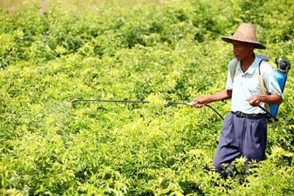 土黴素的農業妙用，可以防治瓜果蔬菜上各種問題的小妙招