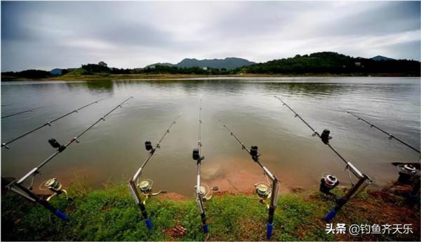 重慶垂釣規範出臺，多種魚不能再釣！網友：釣魚前請帶好尺子和秤