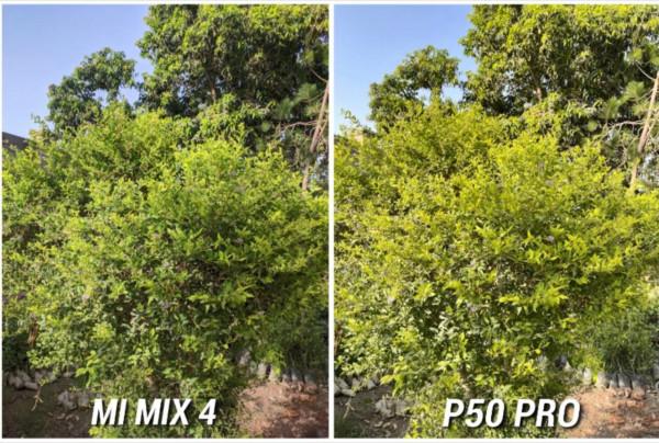 5000萬與1億畫素之間的絞殺！華為P50Pro和小米MIX4實拍差距明顯