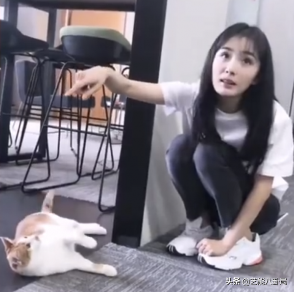 明星花式慶祝臘八節：劉詩詩曬六連拍，鞠婧禕搬磚，賈乃亮最心酸