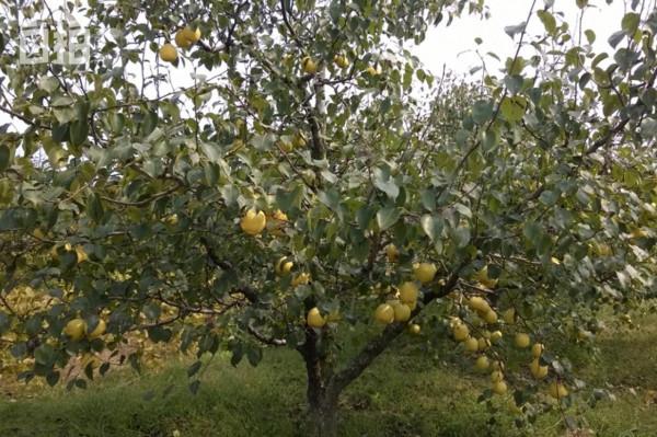 我，當過工人、做過保安，從小自卑，卻拿到了電影“最佳導演”獎