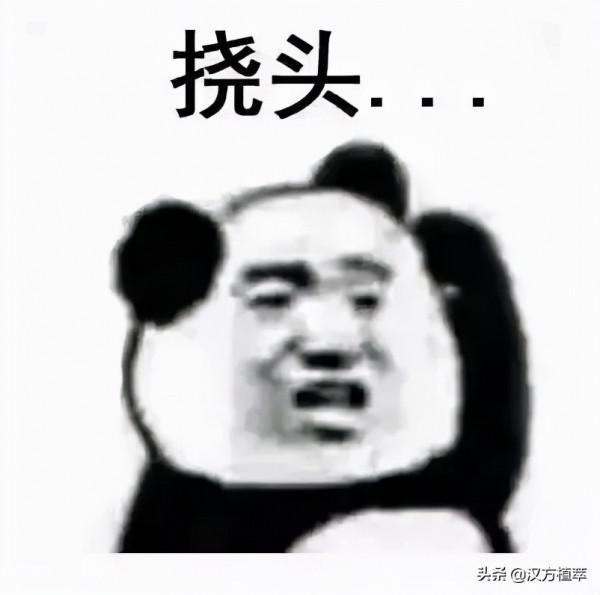 酒精、香精、防腐劑，真的是面板殺手嗎？