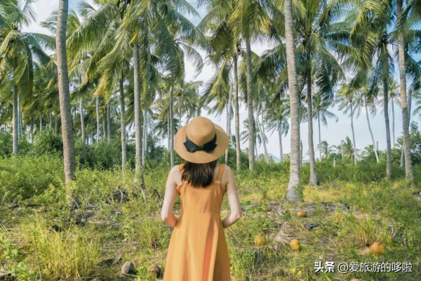 9分神片迴歸!中國人有多會吃海鮮?第一集就讓人邊流口水邊流淚 9分神片迴歸!中國人有多會吃海鮮?第一集就讓人邊流口水邊流淚