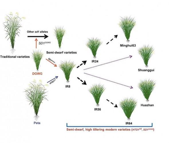 驕傲！盤點中國2021年科技的8大突破，每樣都在讓中國人抬起頭