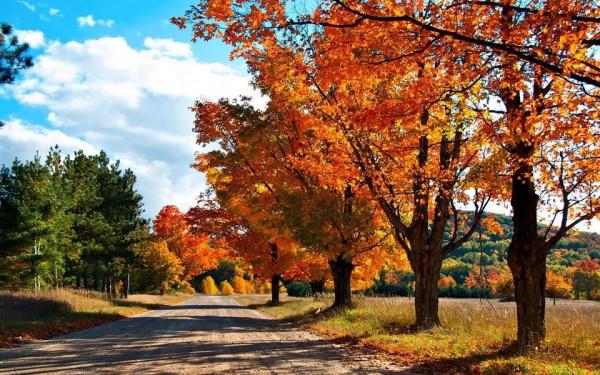 旅遊正文美麗的大自然，多彩的風景美麗的大自然，彩色的大自然快