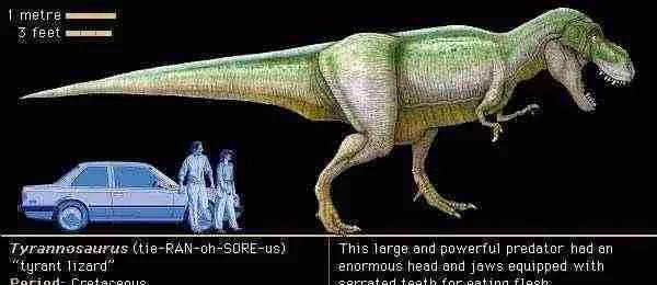 十大最強食肉恐龍 恐龍戰鬥力排名:棘龍、霸王龍、蠻龍 十大最強食肉恐龍 恐龍戰鬥力排名:棘龍、霸王龍、蠻龍