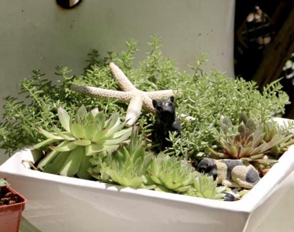 30種與眾不同的花園,水壺、舊靴子、爛門框,全部都可以種花 30種與眾不同的花園,水壺、舊靴子、爛門框,全部都可以種花