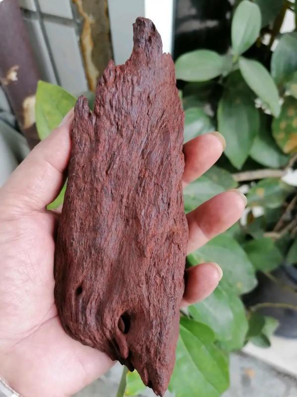 海南伽南香形質韻之美質 海南伽南香形質韻之美質