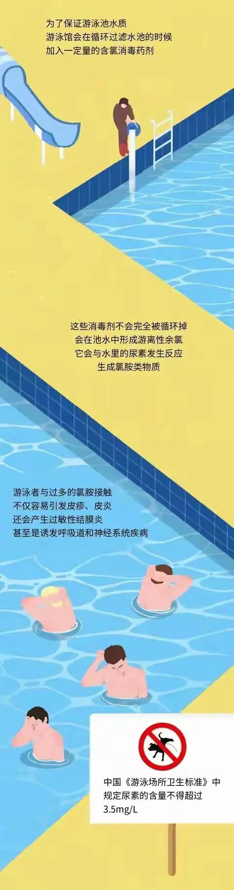 游泳池裡的尿液比你想象的多!(漫畫) 游泳池裡的尿液比你想象的多!(漫畫)