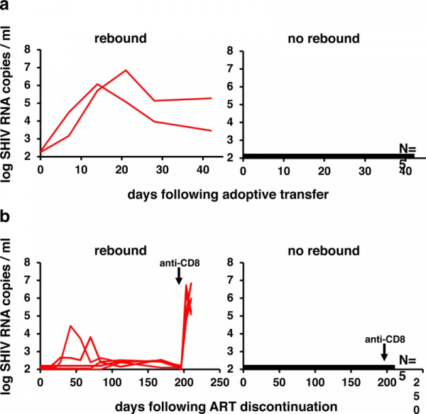 Nature 子刊丨艾滋病治癒有望!臨床試驗結果出爐 Nature 子刊丨艾滋病治癒有望!臨床試驗結果出爐