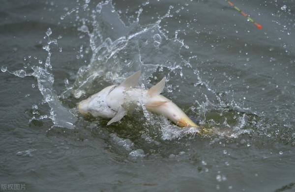 冬釣風大走水，別急著用跑鉛，先從調釣上入手